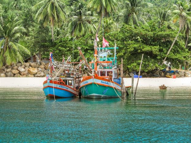 Die thailändischen Fischerboote sind allgegenwärtig. Vor allem dann, wenn man nachts an der Küste segelt. Sie tauchen in grossen Gruppen auf und die Ausleger sind mit starken Lampen bestückt. Diese werden für den nächtlichen Fang der Tintenfische benötigt. Für uns sind sie darum sehr gut sichtbar. Das Problem ist die Häufigkeit der Boote und die nicht voraussagbare Fahrtrichtung, welche permanent und abrupt verändert wird. Die Boote sehen durch ihre Farben toll aus und manchmal beobachteten wir mehr als 10 Boote im "Päcklein" an nur einem Anker.
